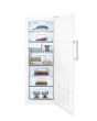 Blomberg FNT9673P 59.5CM Wide Frost Free Tall Freezer