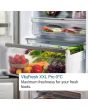 Bosch KGN492LDFG Stainless Steel 70Cm Frost Free Fridge Freezer (SERIES 4)