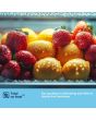 Fridgemaster MS91558DES Silver 91.1 Cm Wide No Frost Side By Side Fridge Freezer With 60/40 Split