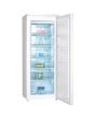 Iceking RZ203W.E 163 L Tall Freezer with 6 Compartments