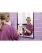 Karcher WV2PLUS Window Vacuum