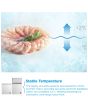 Midea MDRC284FZE01 White 77Cm Wide Chest Freezer - 198L