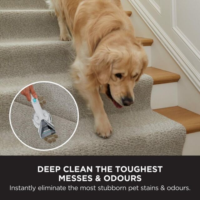 Shark EX200UK Carpetxpert Deep Carpet Cleaner With Built In Stain Striker